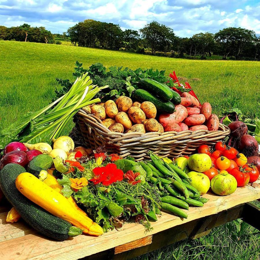 Ballylagan Organic Farm Straid  Екстериор снимка